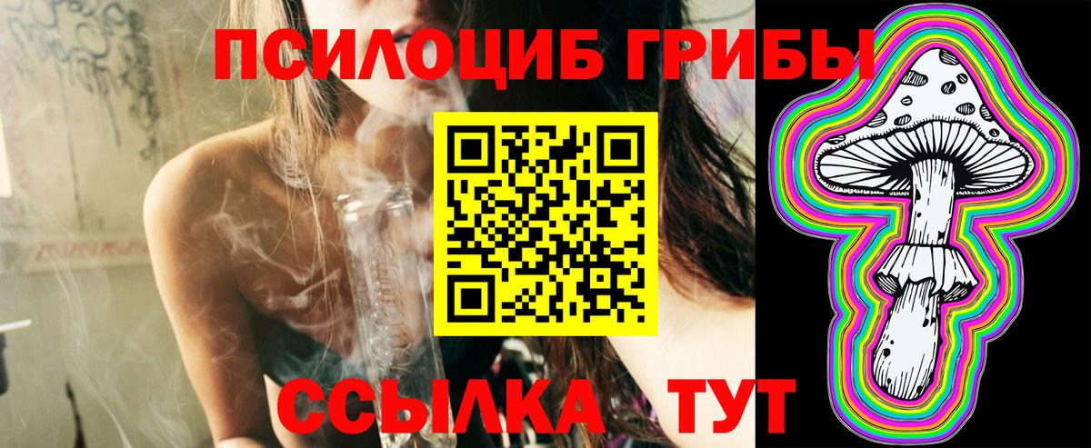 Псилоцибиновые грибы прущие грибы Аргун