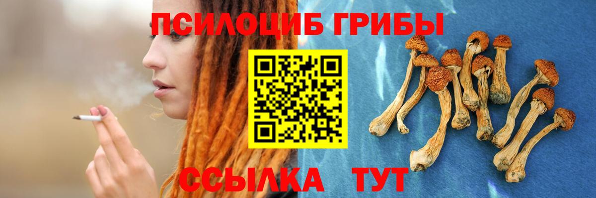 Аргун  Псилоцибиновые грибы Psilocybine cubensis  Вход с VPN  Галлюциногенные грибы MAGIC MUSHROOMS 